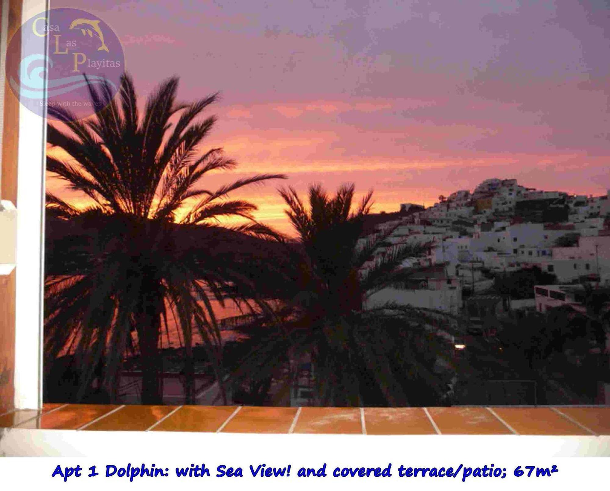 Casa Las Playitas -Clp- Best Sea View - In 1 Minute Ocean Las Playas Extérieur photo
